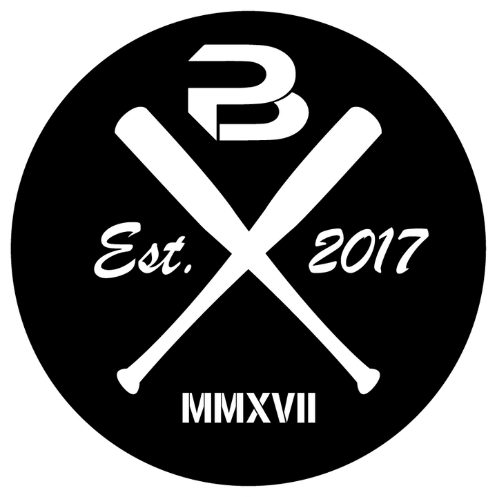 Best Baseball Bats for Sale Find the Perfect Wood Baseball Bat Here