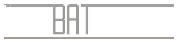 The wood bat factory store